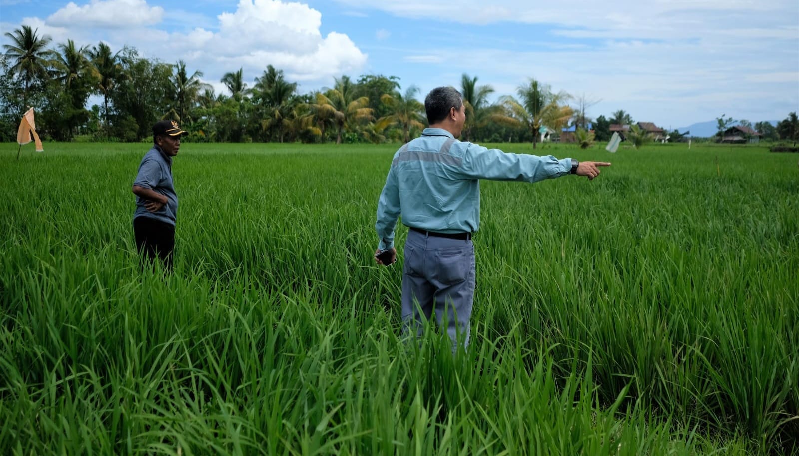 PT Vale Wujudkan Kemandiran Masyarakat di Area Pemberdayaan Melalui Pertanian Ramah Lingkungan