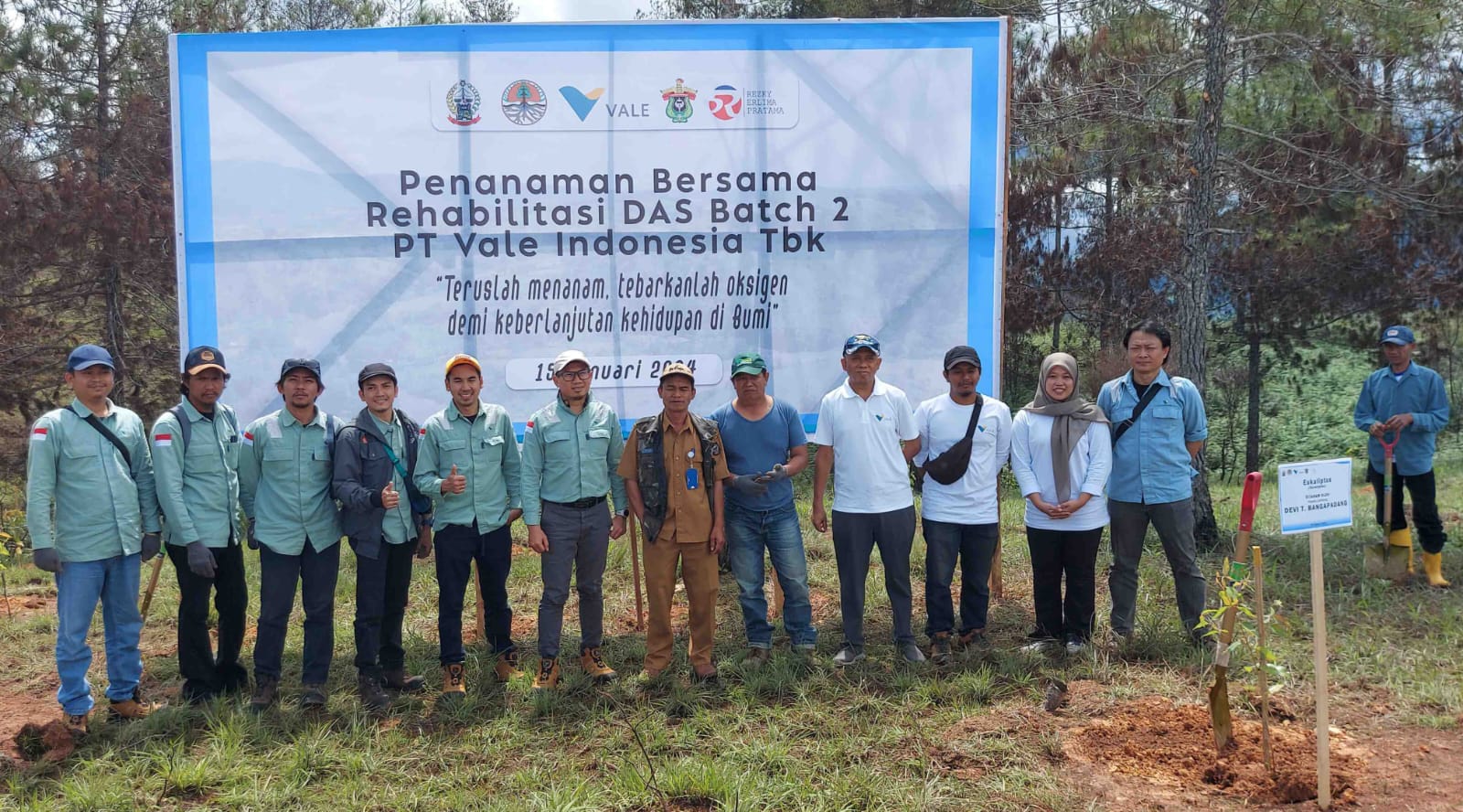 Rehabilitasi DAS, PT Vale Tanam 424 Ribu Bibit Pohon di Tana Toraja