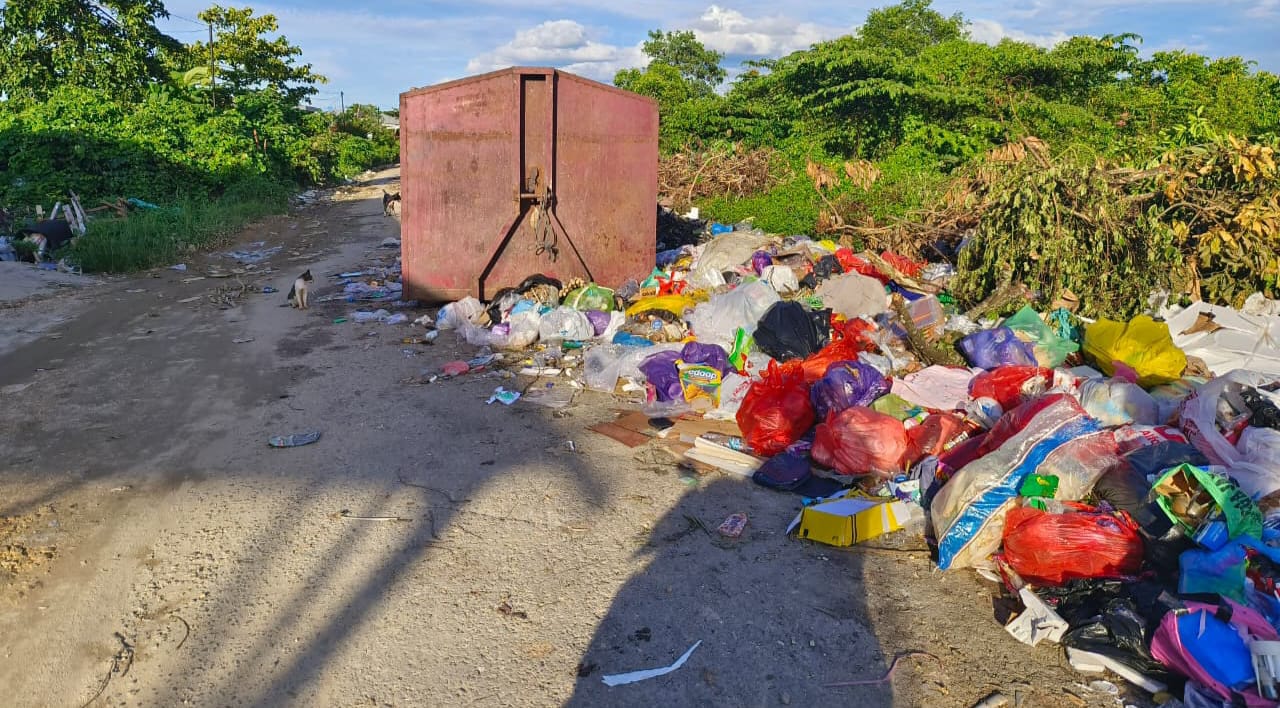 Warga Ranomeeto Keluhkan Sampah Menumpuk Hingga Keluarkan Bau Busuk