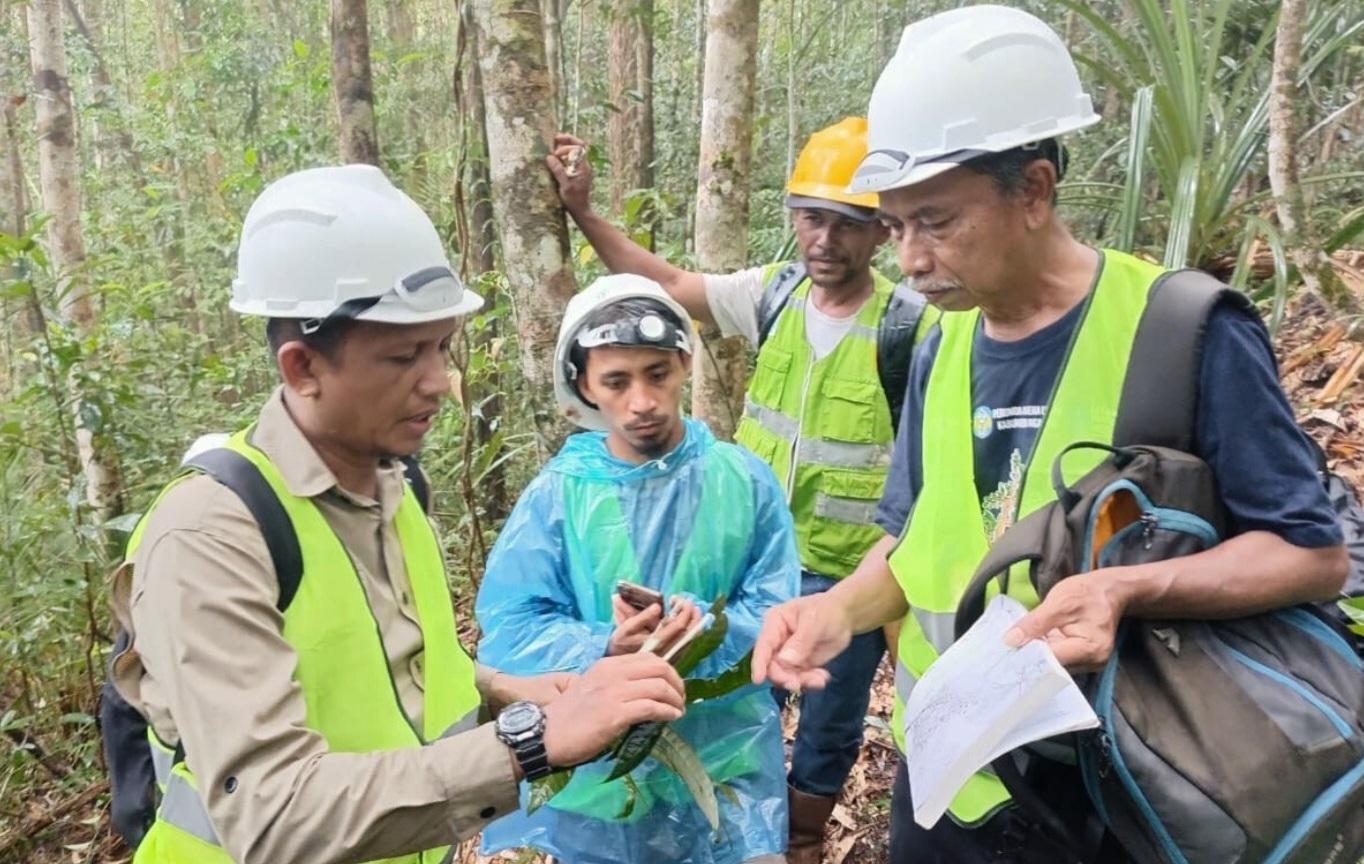 Catatan Tiga Tahun Riset Biodiversitas Wawonii: Dorong Pengelolaan Lingkungan Berbasis Data