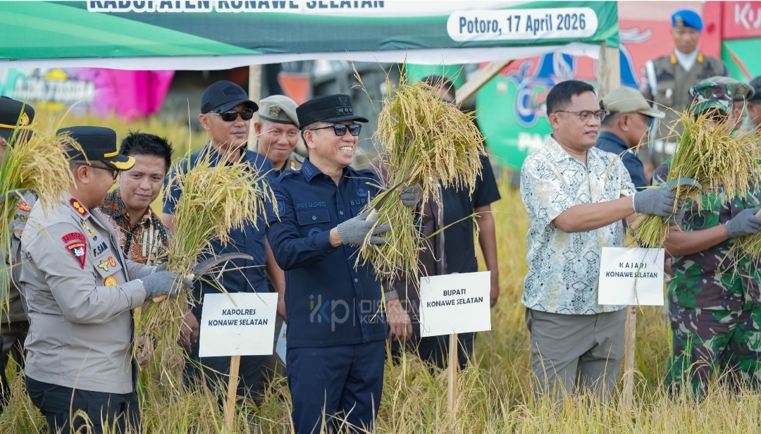 Bupati Irham Kalenggo Pimpin Panen Raya Padi Sawah di Potoro