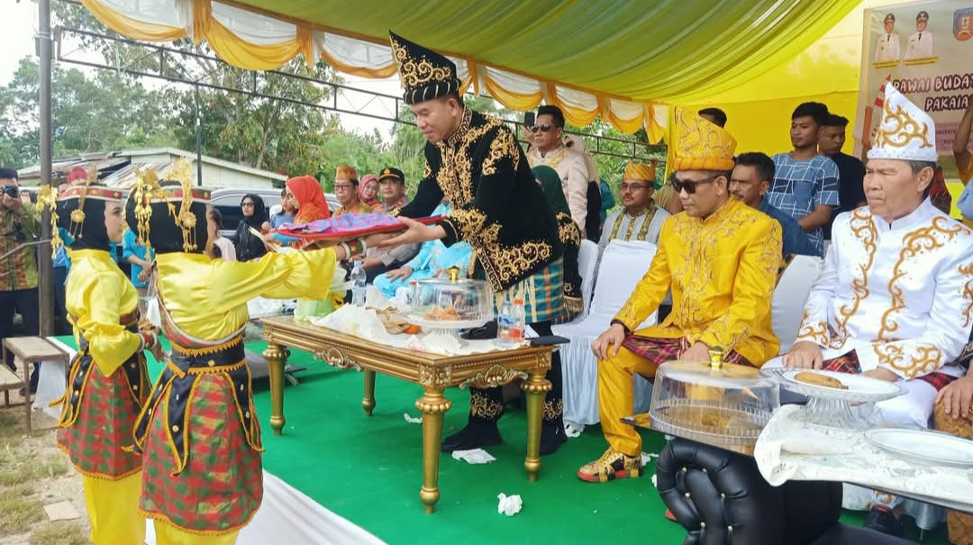 Pawai Budaya Nusantara HUT Ke-22 Konawe Selatan, Bupati Irham Kalenggo Ajak ASN Berikan Pelayanan Terbaik
