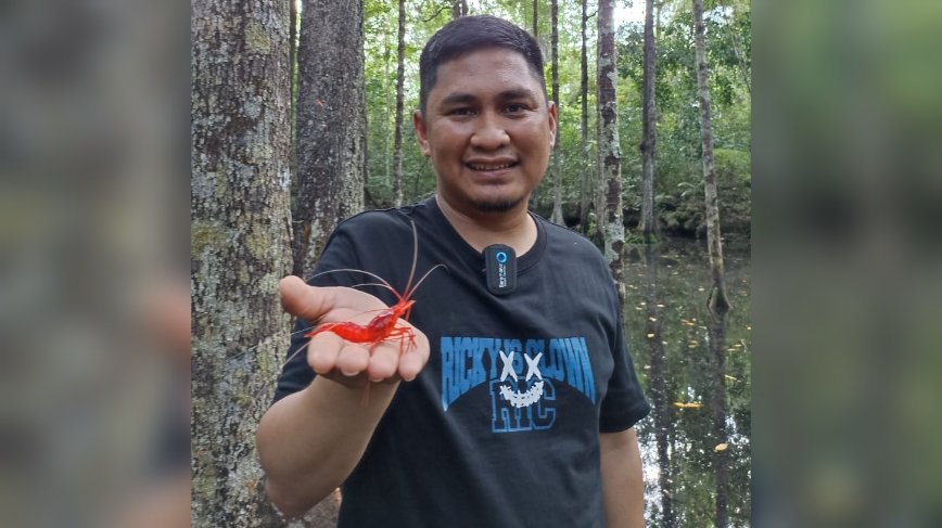 Dispar Sultra Dukung Penangkaran Tukik di Kawasan Pantai Koguna