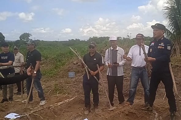 Tanam Tebu di Konawe Selatan, Wabup Rasyid Apresiasi PT PAG