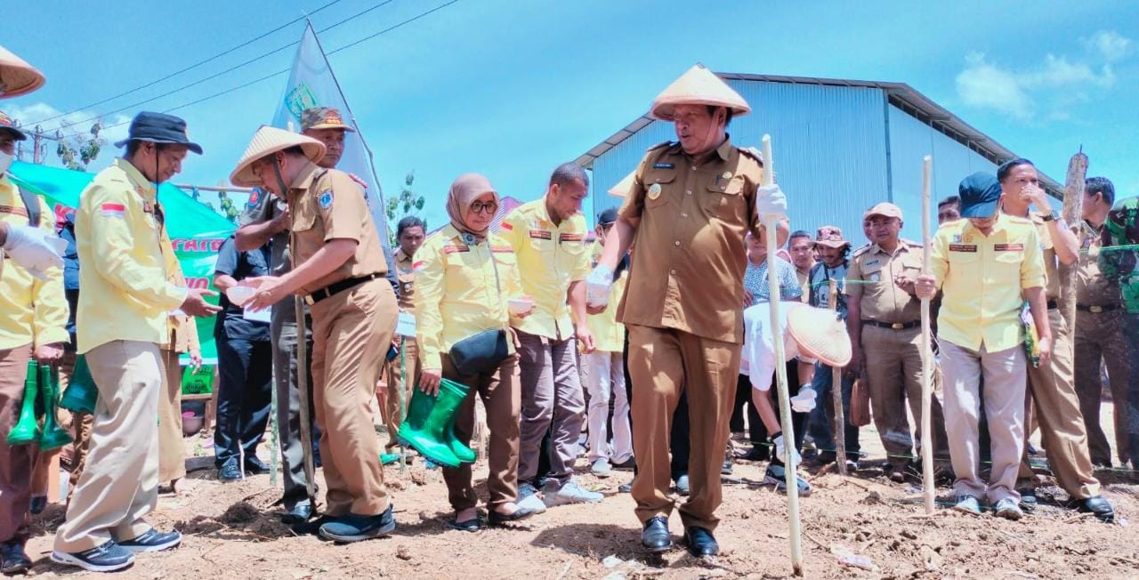 Kembangkan Produksi Jagung, Kementan Apresiasi Pemda Muna