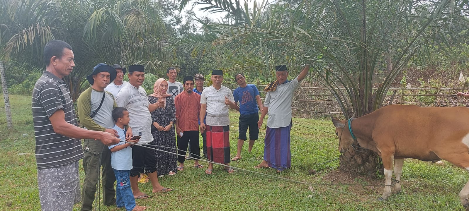 Idul Adha 1444 Hijriah, Udin Saputra Serahkan Sapi Kurban pada Pemdes Landabaro