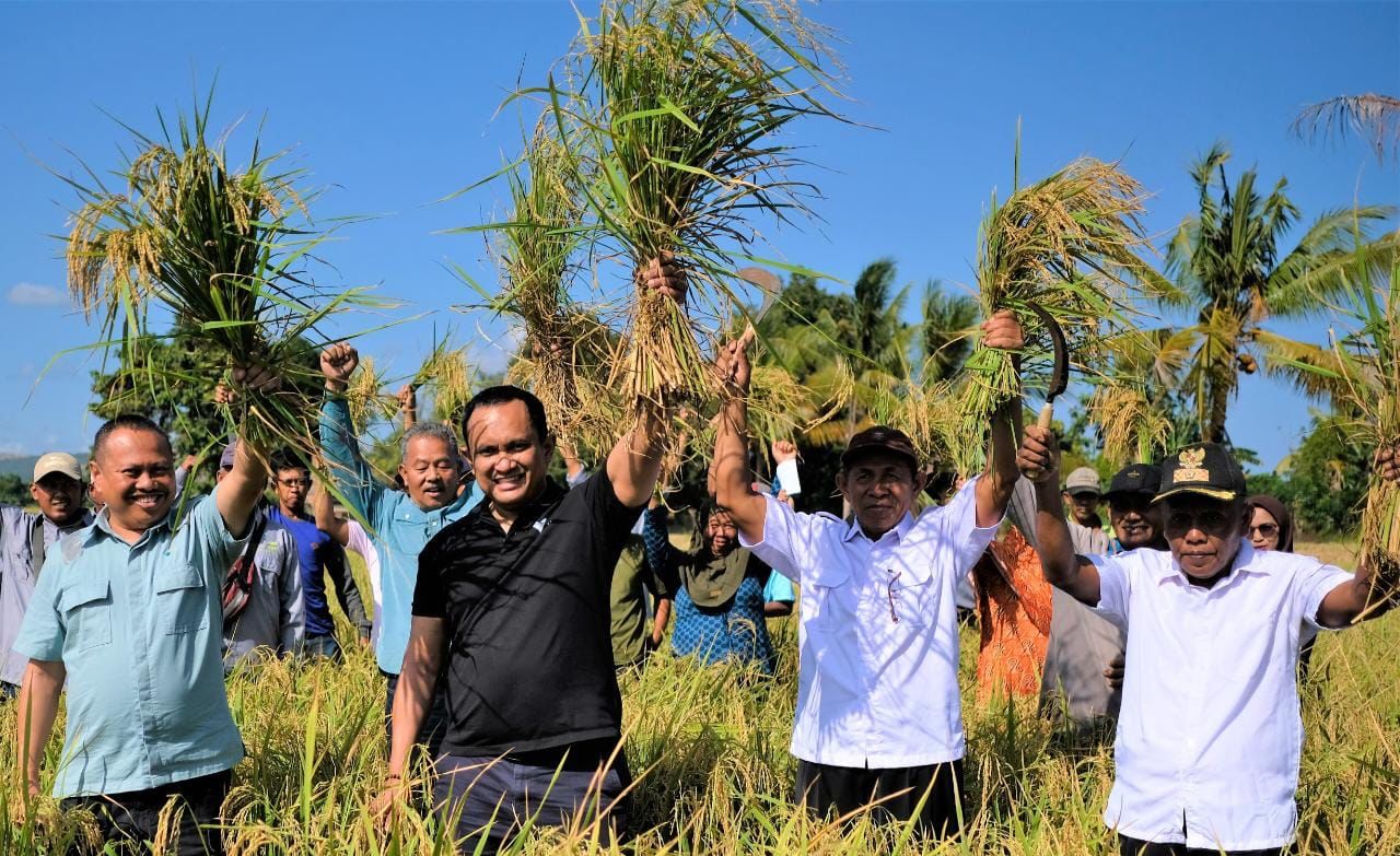 Petani Organik Binaan PT Vale di Kolaka 11 Kali Panen, Hasil Makin Melimpah