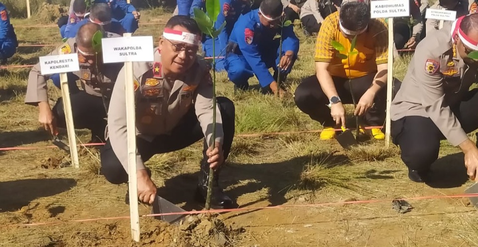 Rangkaian HUT Ke-78 RI, Polda Sulawesi Tenggara Tanam 1000 Pohon Mangrove di Kendari Beach