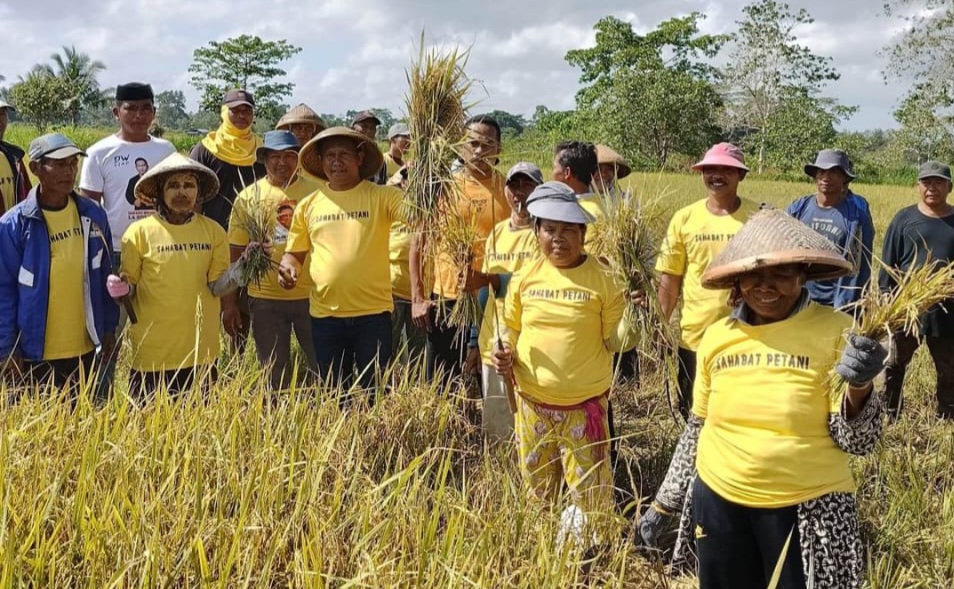 Acara Panen Raya Padi, Petani Doakan La Ode Darwin Pimpin Muna Barat di 2024