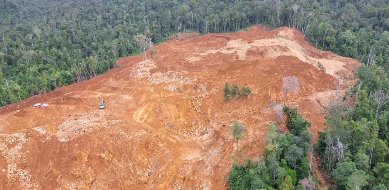 Aneh! Dirut Sudah Tahunan Buron, PT Roshini Indonesia Diduga Malah Bebas Garap Kawasan Hutan Tanpa Izin