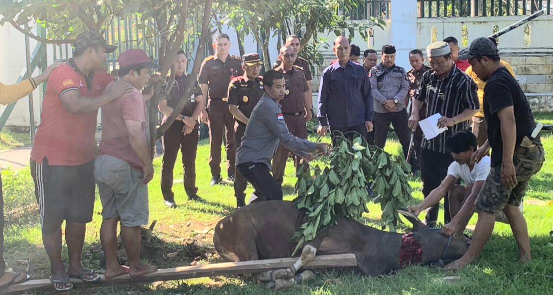 Iduladha 2024, Kejati Sulawesi Tenggara Kurban Enam Ekor Sapi