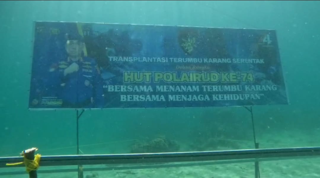 Peringati HUT ke-74, Ditpolairud Transplantasi Terumbu Karang Menuju Indonesia Emas