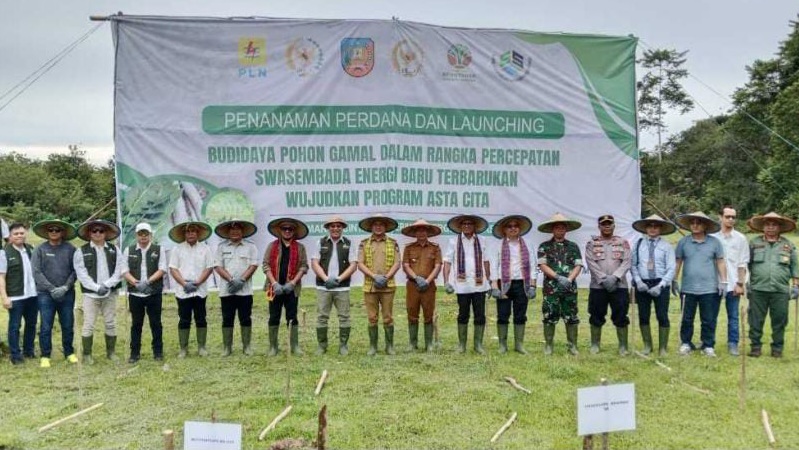 DPRD Konawe Selatan Dukung Budidaya Tanaman Gamal Menuju Swasembada Energi Baru Terbarukan