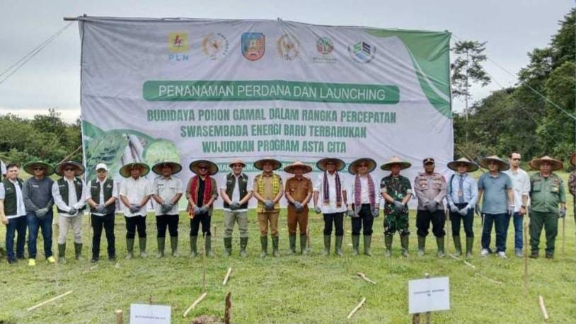 Percepatan Swasembada Energi Terbarukan, PT Sepium Energi Selaras Launching Budidaya Pohon Gamal di Konawe Selatan