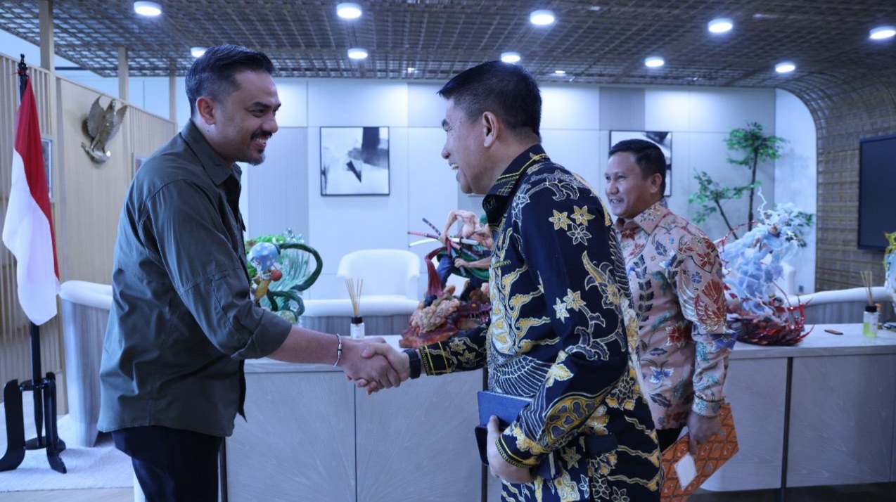 Dorong Pengembangan UMKM Konawe Selatan, Bupati Irham Kalenggo Temui Menteri UMKM