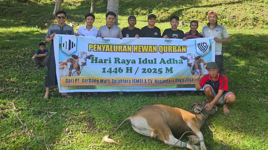 Iduladha 2025, PT GMS dan CV NDJ Bagikan 20 Ekor Sapi Kurban