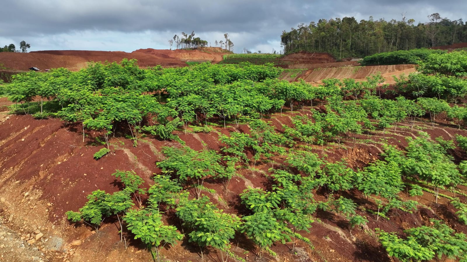 Kewajiban Tetap Melekat, Pemerintah: Reklamasi PT GKP Harus Berlanjut