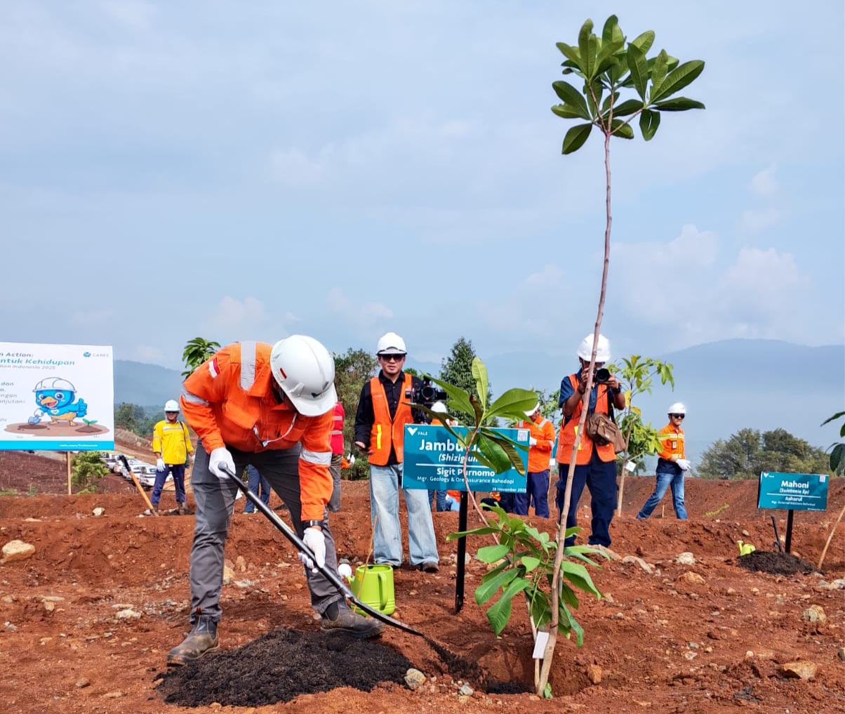 Peringati Hari Menanam Pohon Indonesia 2025, ‎PT Vale IGP Morowali Gelar Lomba Tanam Pohon