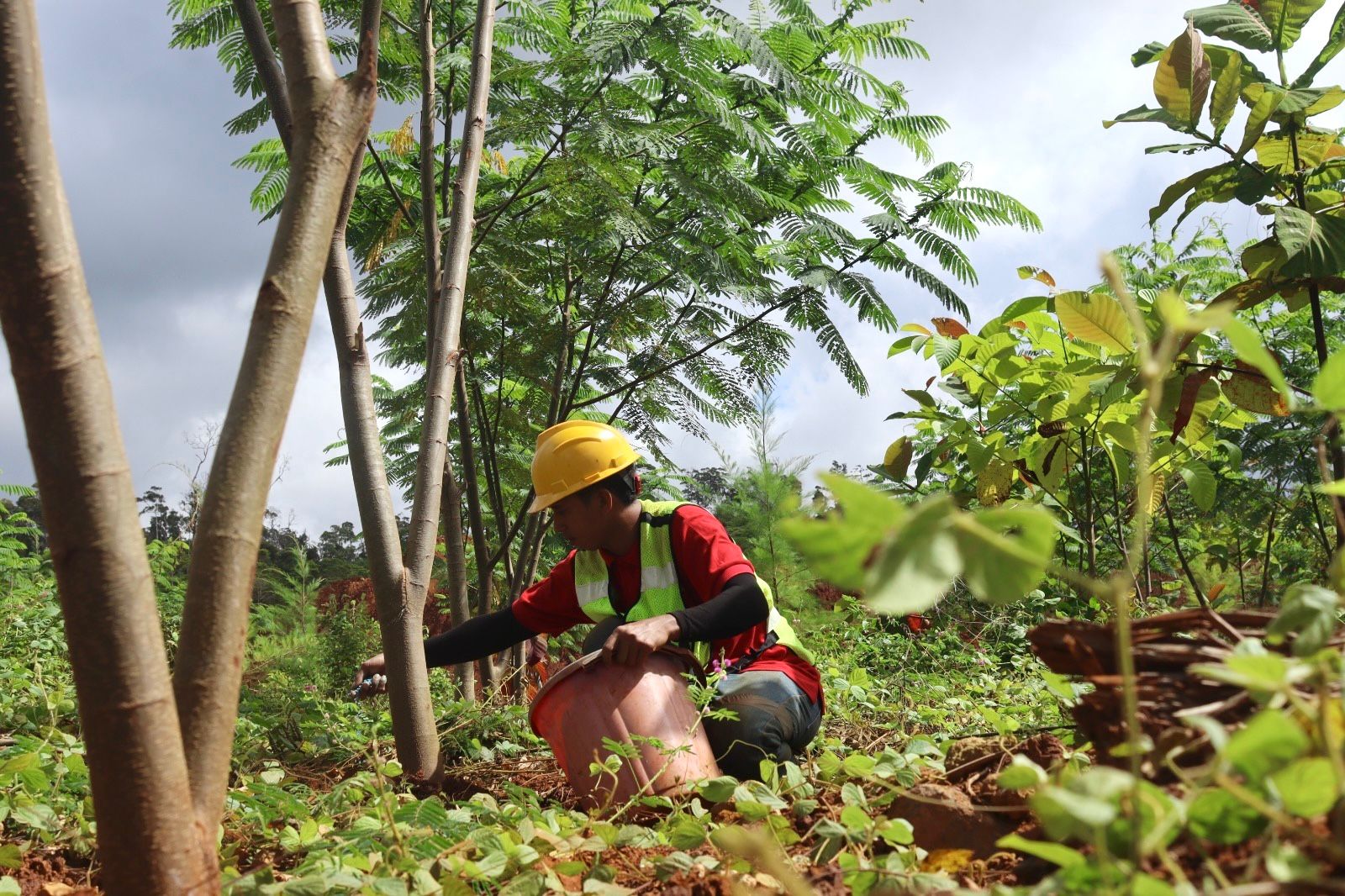 PT GKP Catat Progres Reklamasi Signifikan, Total Hampir 20 Ribu Bibit Tertanam di Konkep hingga Awal 2026