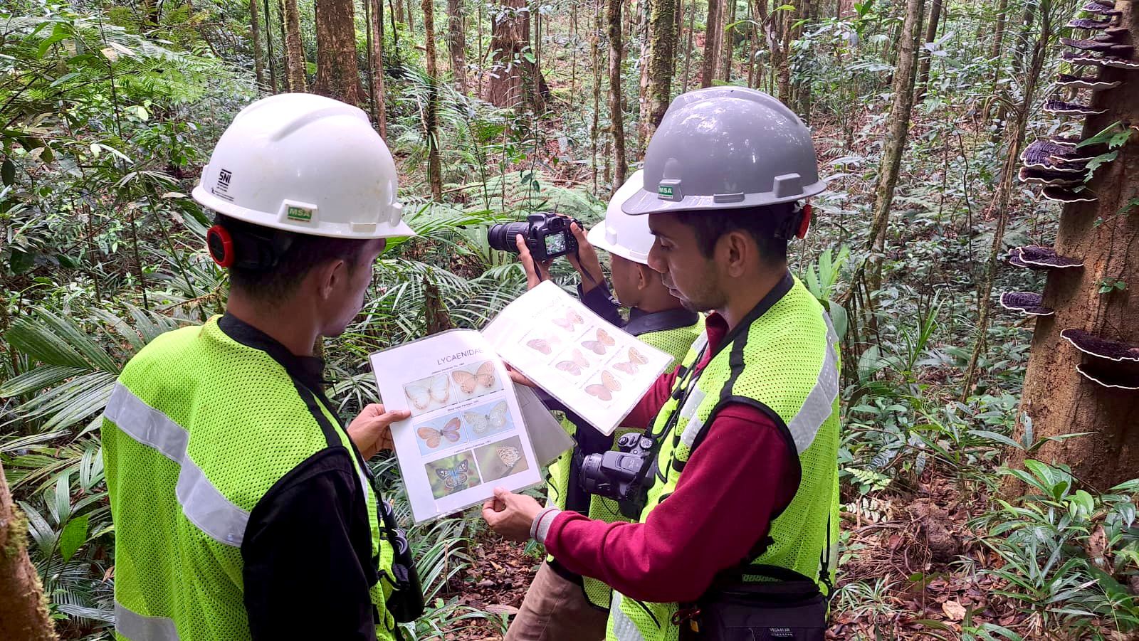 Lewat Program Biodiversitas PT GKP, Peneliti Ungkap Spesies Baru di Wawonii