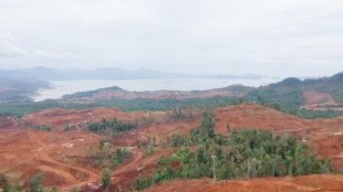 Aktivis Konut Soroti Kerusakan Lingkungan Akibat Tambang, Sosok Sulaeha Sanusi Perjuangkan Masyarakat Adat