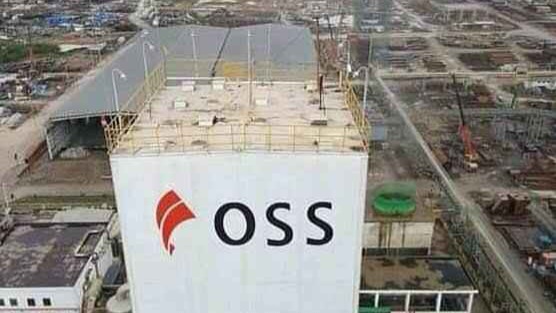 Terima Salinan Putusan Kasasi, Ainun Indarsih Siap Ajukan Eksekusi Lahan PT OSS