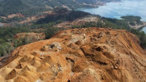 KLHK Ungkap PT SBP Beraktivitas di Kawasan Hutan Konawe Utara Tanpa Izin