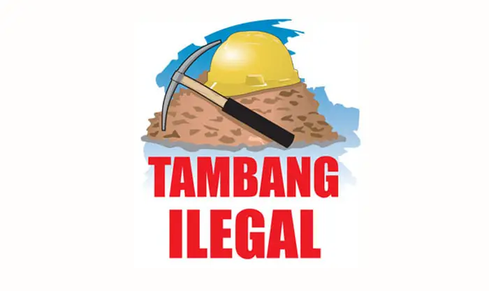 Satgas Penertiban Kawasan Hutan Geledah Kantor Tambang di Sultra, Bidik Perusahaan Tanpa IPPKH